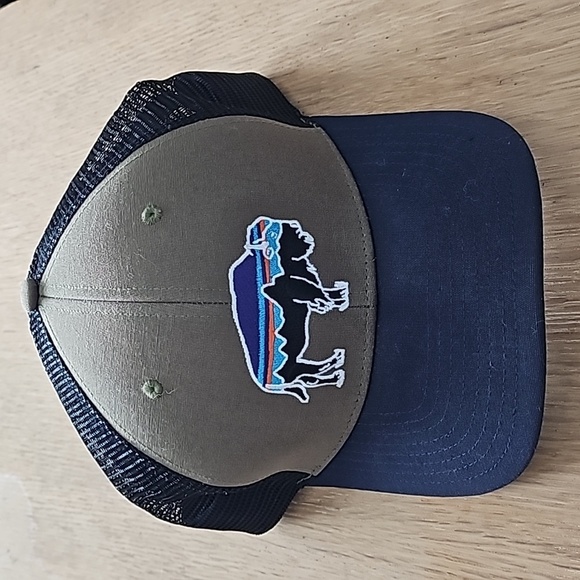 Patagonia Other - Patagonia K Trucker adjustable Hat